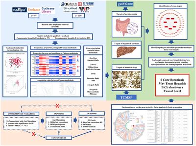 Convergent application of traditional Chinese medicine and gut microbiota in ameliorate of cirrhosis: a data mining and Mendelian randomization study